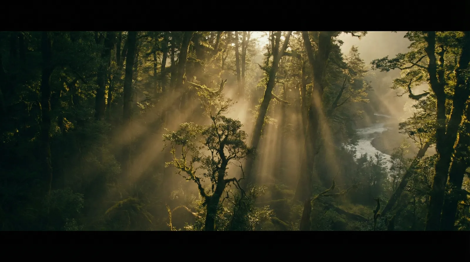 宝威体育网址 自然纪录片风格调色案例